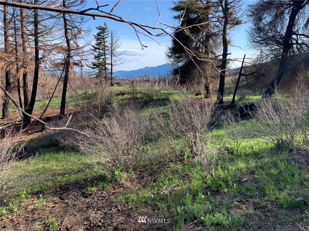 320 Eighme Road Oroville, WA 98844 - Photo 22 of 23 Gallery Image 22