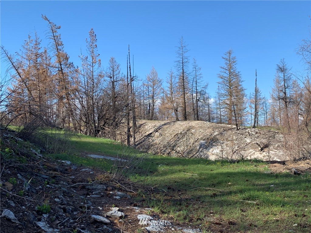 320 Eighme Road Oroville, WA 98844 - Photo 23 of 23 Gallery Image 23