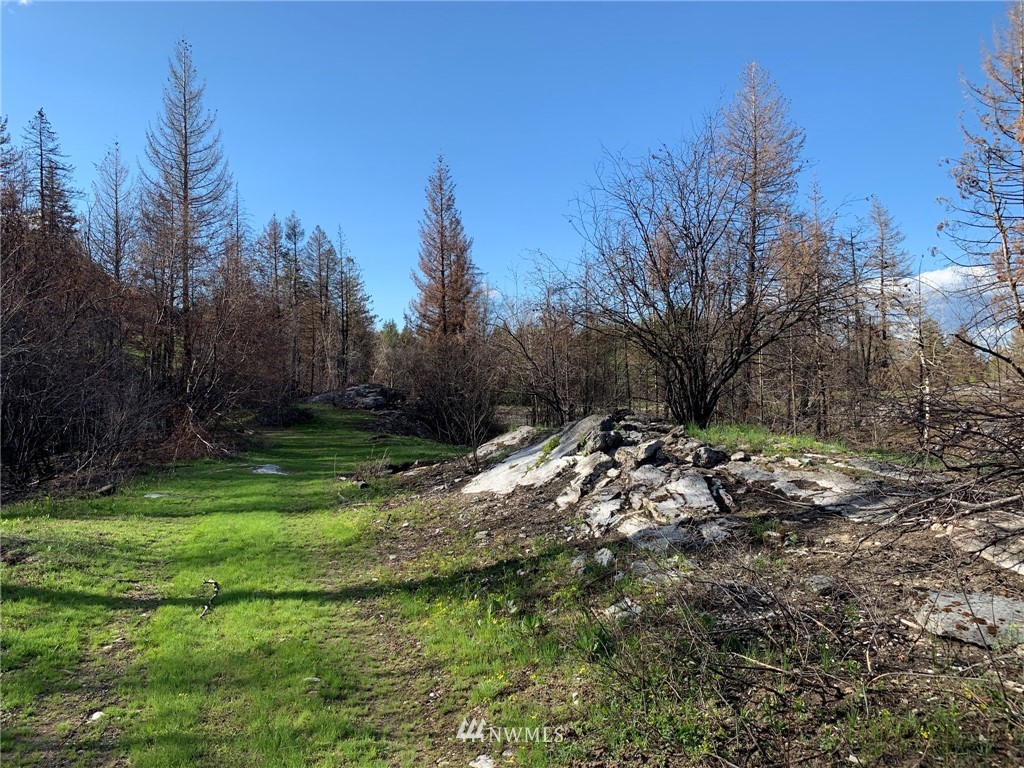 320 Eighme Road Oroville, WA 98844 - Photo 6 of 23 Gallery Image 6
