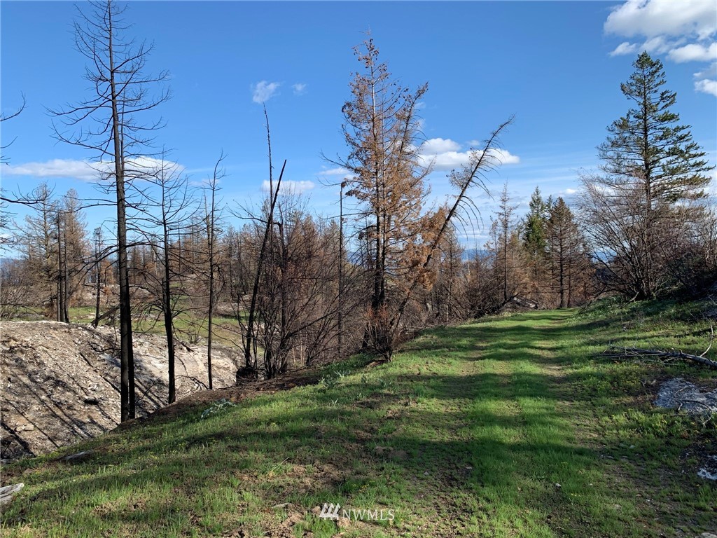 320 Eighme Road Oroville, WA 98844 - Photo 10 of 23 Gallery Image 10