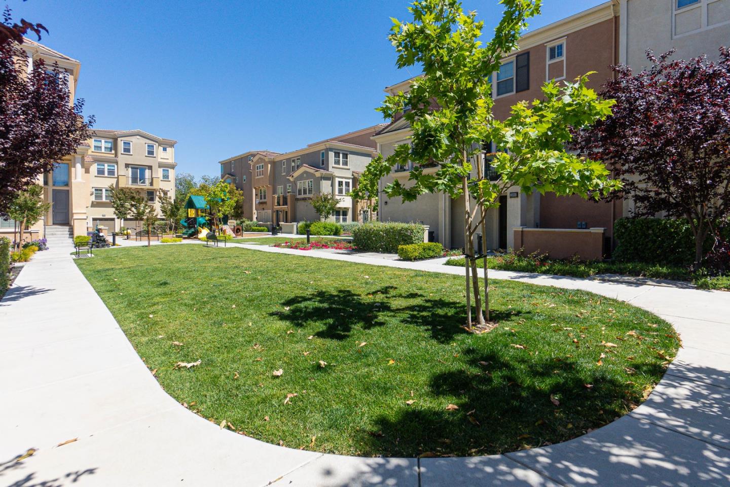 1926 Trento Loop Milpitas, CA 95035 - Photo 35 of 43 a backyard of a house with lots of green space