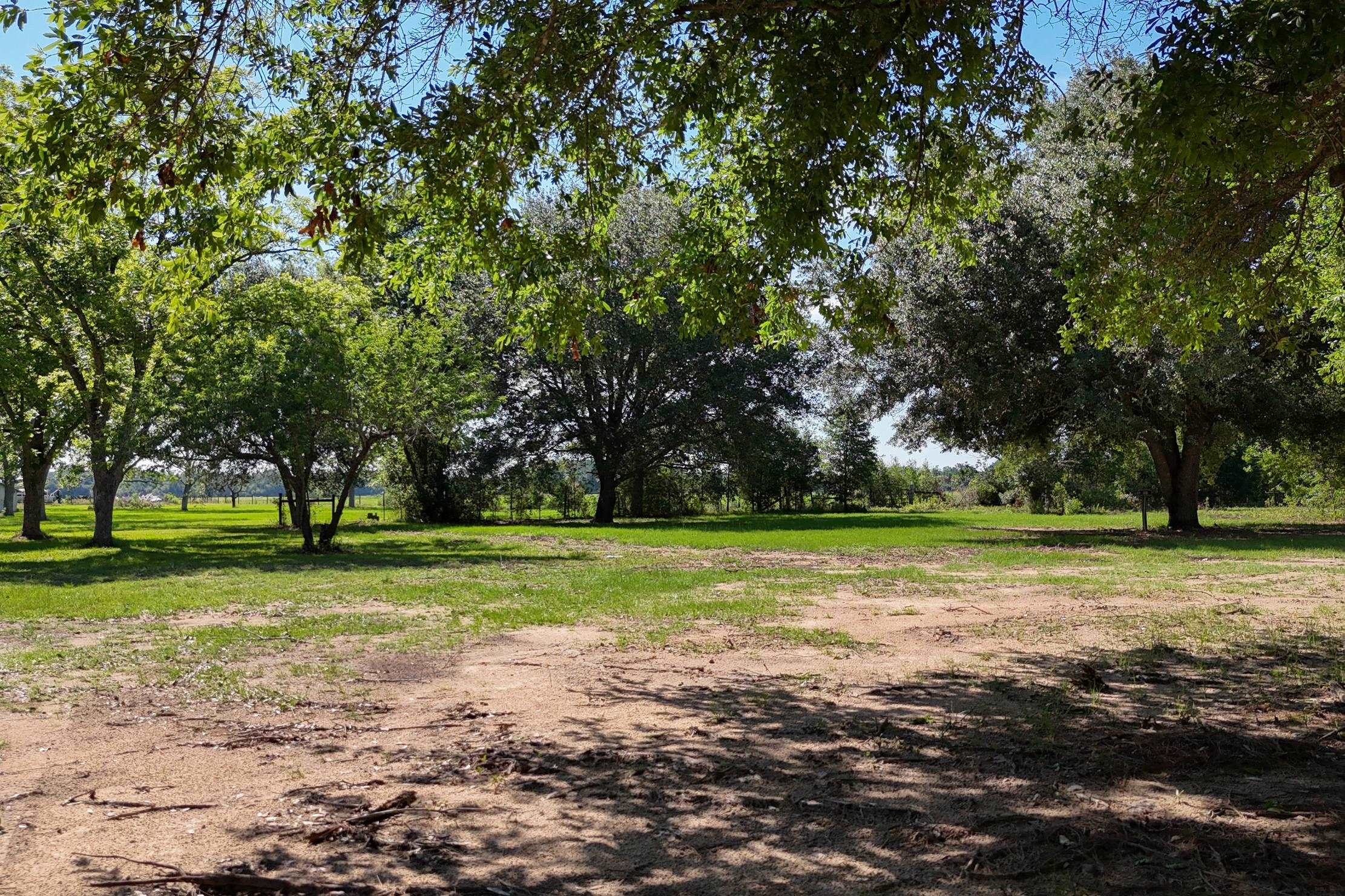 29701 Comstock Road Elberta, AL 36530 - Photo 5 of 31