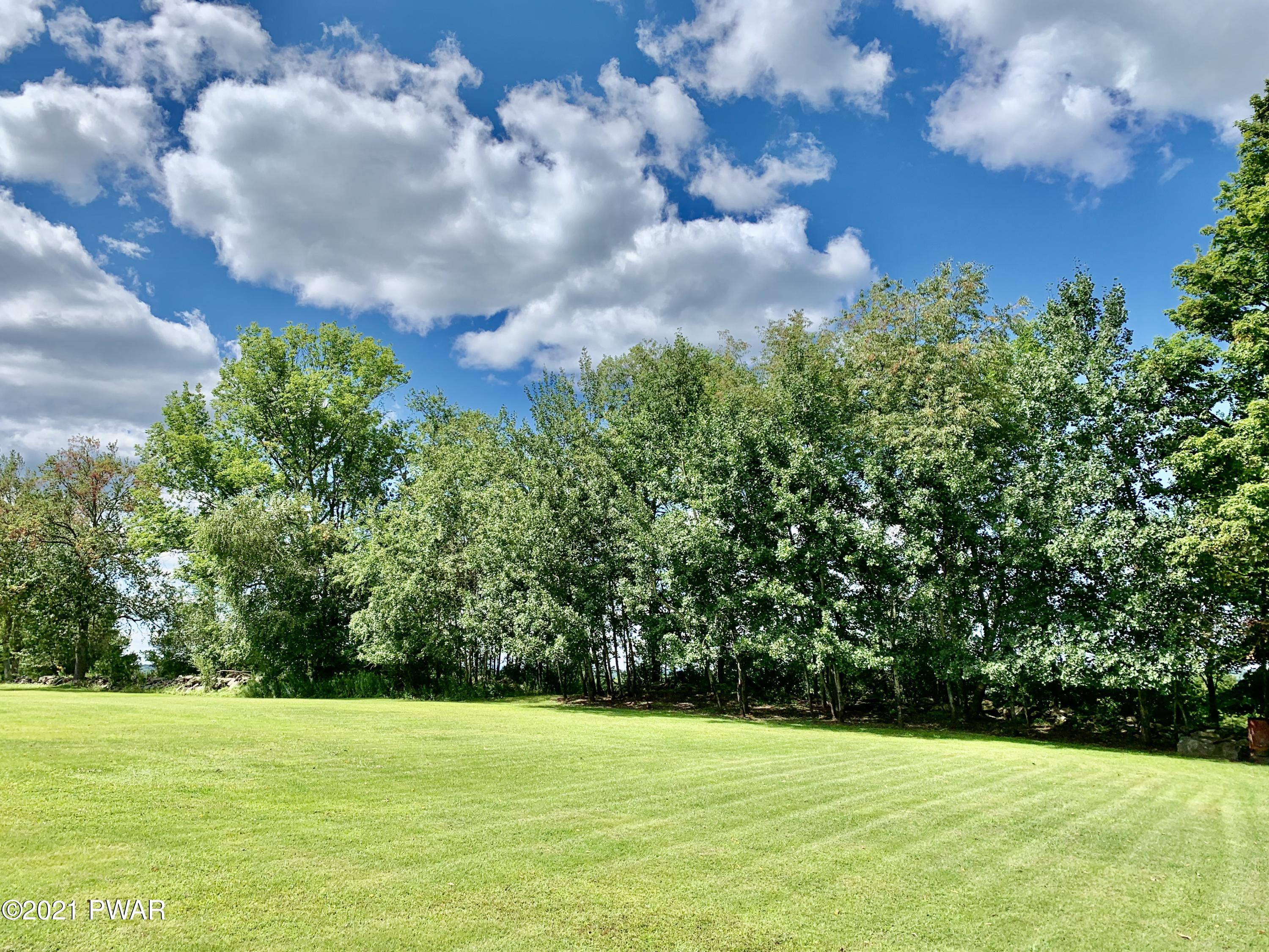 369 Watts Hill Road Honesdale, PA 18431 - Photo 5 of 39