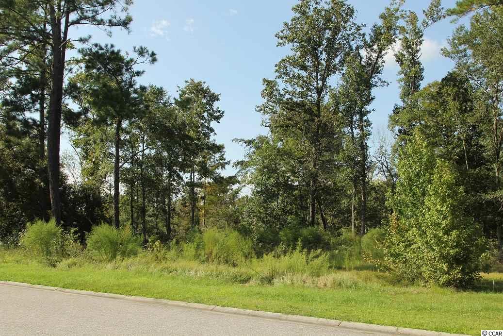 Lot 20 Rivers Edge Drive Conway, SC 29526 - Photo 1 of 7 Gallery Image 1