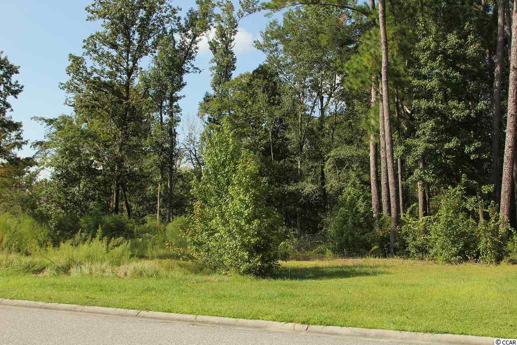 Lot 20 Rivers Edge Drive Conway, SC 29526 - Photo 3 of 7 Gallery Image 3