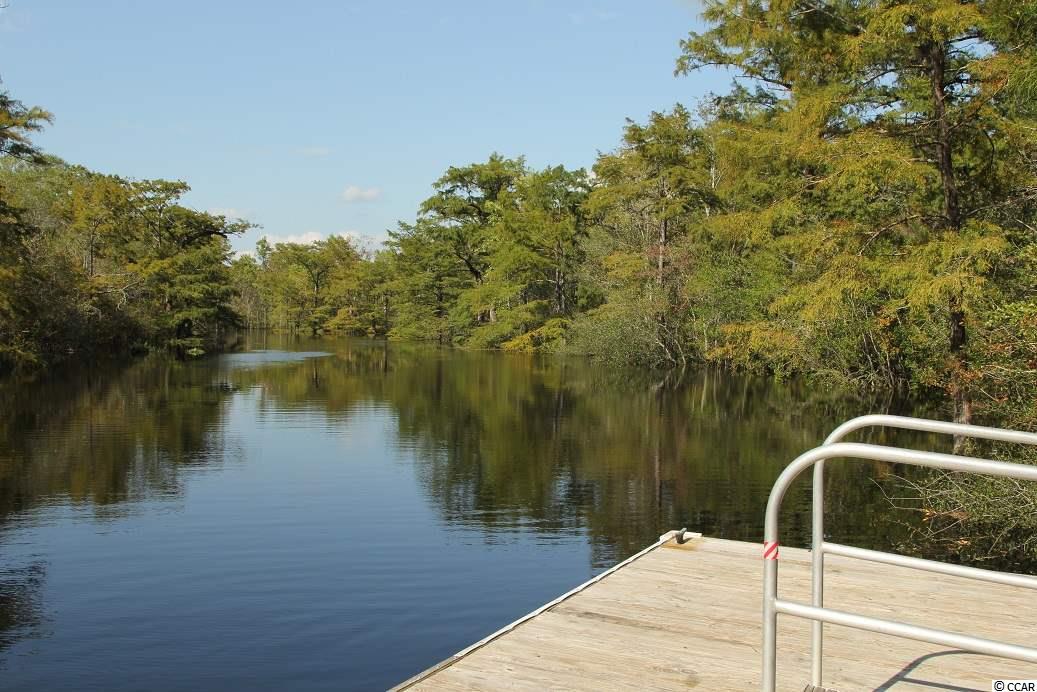 Lot 20 Rivers Edge Drive Conway, SC 29526 - Photo 7 of 7 Gallery Image 7