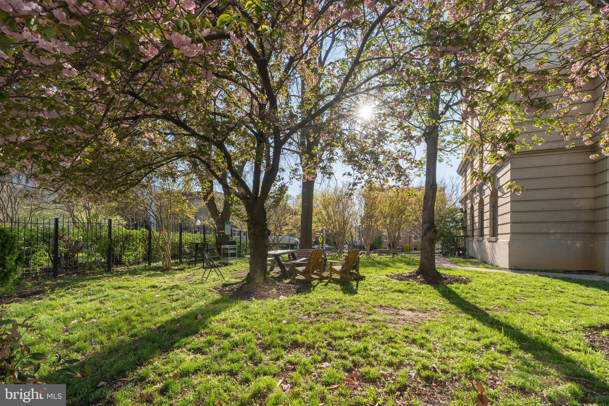 3060 16th Street Northwest, Unit 209 Washington, DC 20009 - Photo 26 of 33 a view of a yard with a tree
