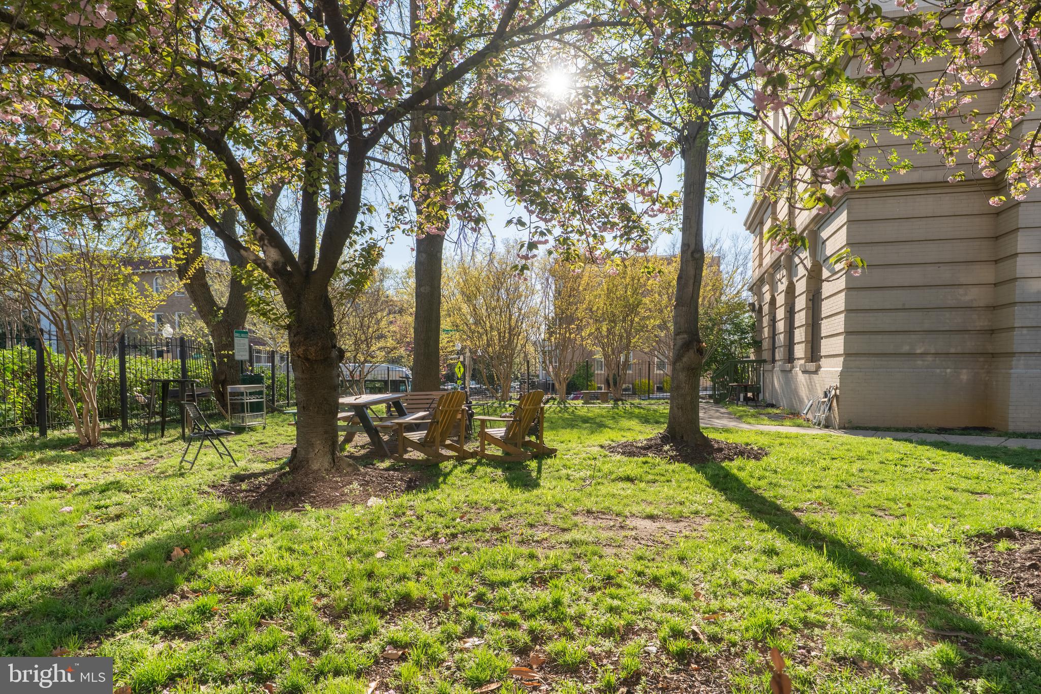 3060 16th Street Northwest, Unit 209 Washington, DC 20009 - Photo 27 of 33 a view of a yard with a tree