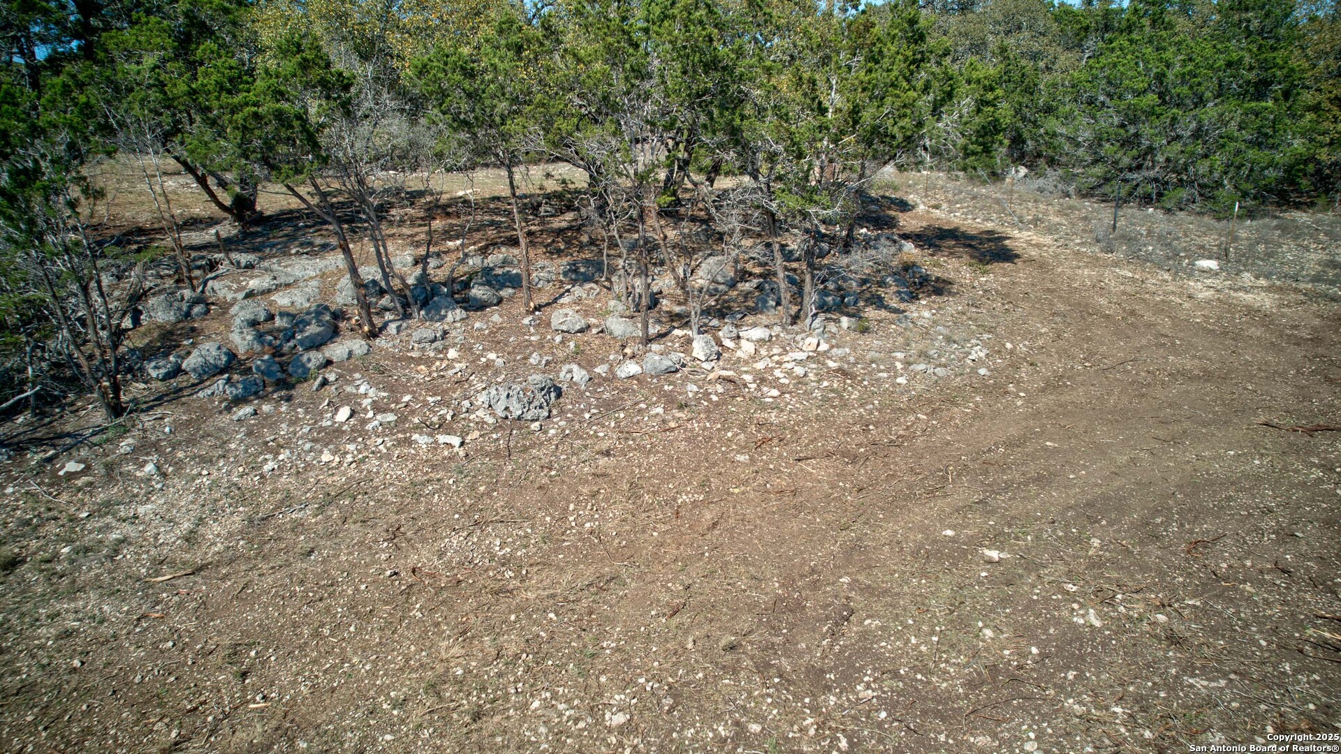 100 Sweet Clover Drive Spring Branch, TX 78070 - Photo 12 of 31 a view of a forest with a tree