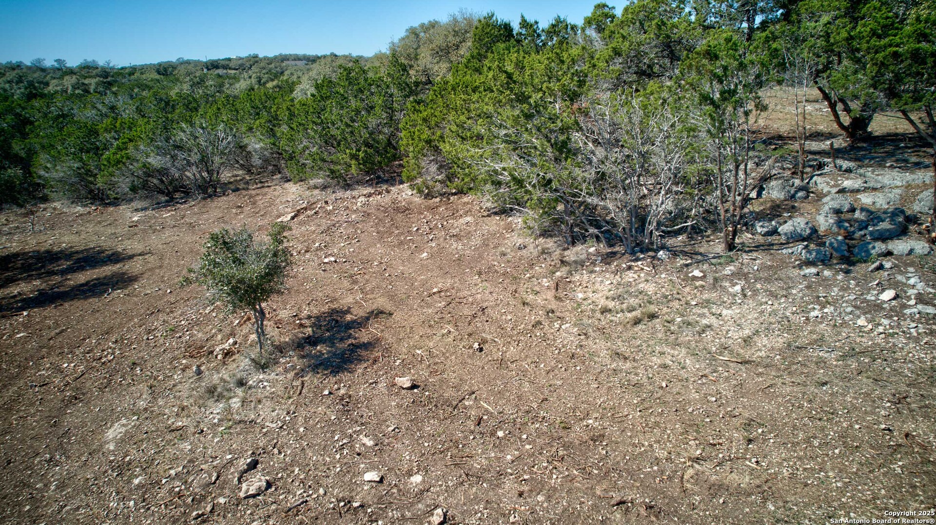 100 Sweet Clover Drive Spring Branch, TX 78070 - Photo 13 of 31 a view of a dry yard with trees in the background
