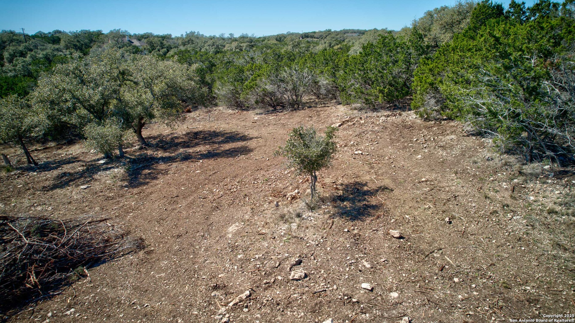 100 Sweet Clover Drive Spring Branch, TX 78070 - Photo 14 of 31 a view of a forest with trees in the background