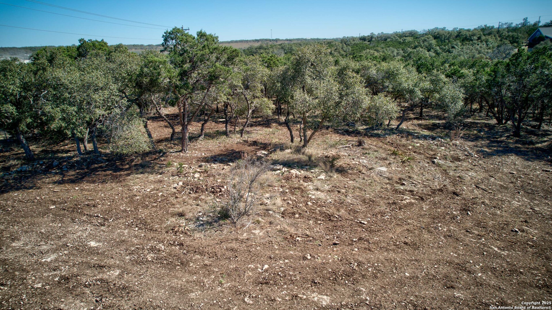 100 Sweet Clover Drive Spring Branch, TX 78070 - Photo 16 of 31 a view of a forest with trees in the background