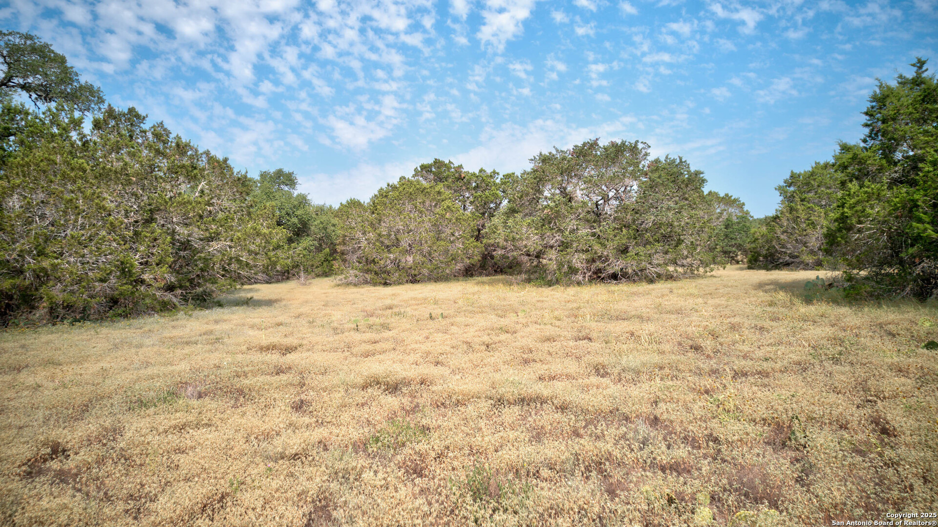 100 Sweet Clover Drive Spring Branch, TX 78070 - Photo 27 of 31 a view of yard
