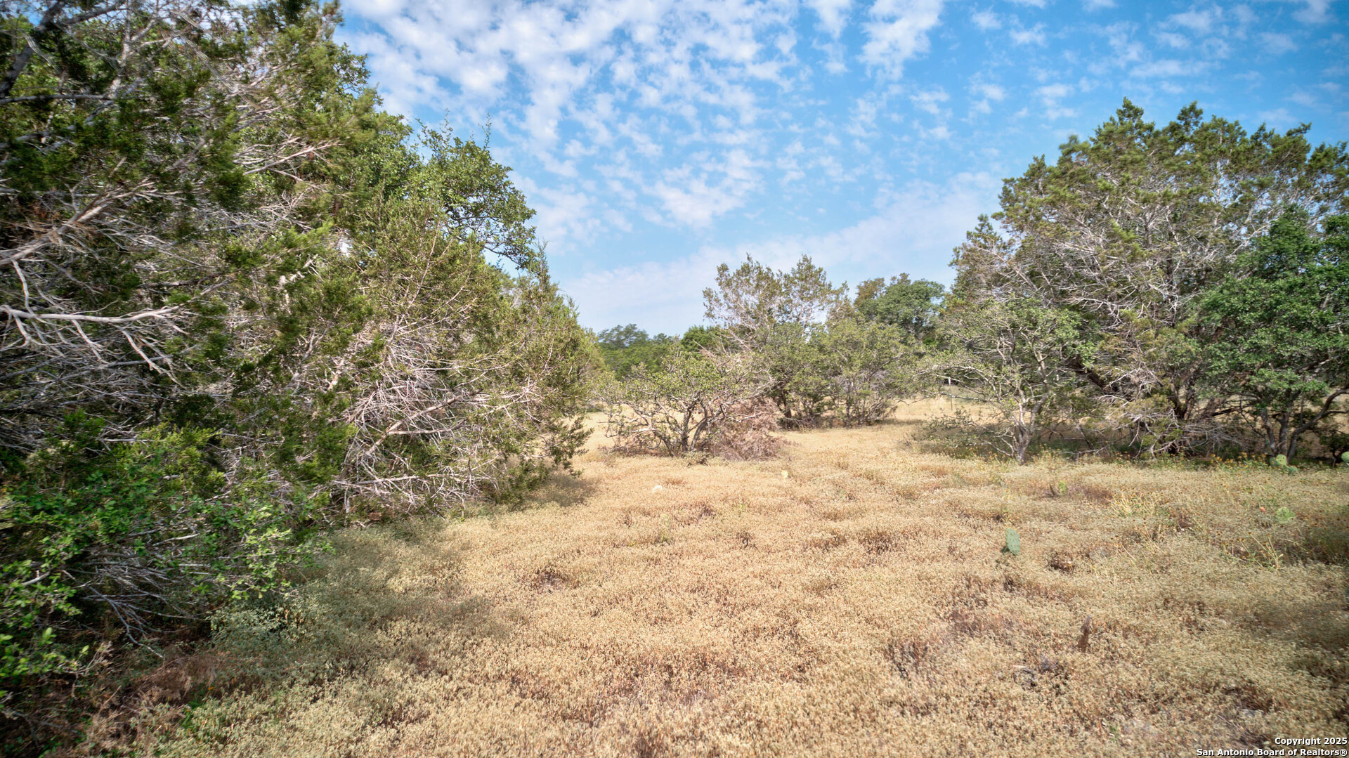 100 Sweet Clover Drive Spring Branch, TX 78070 - Photo 28 of 31 a view of a yard with trees
