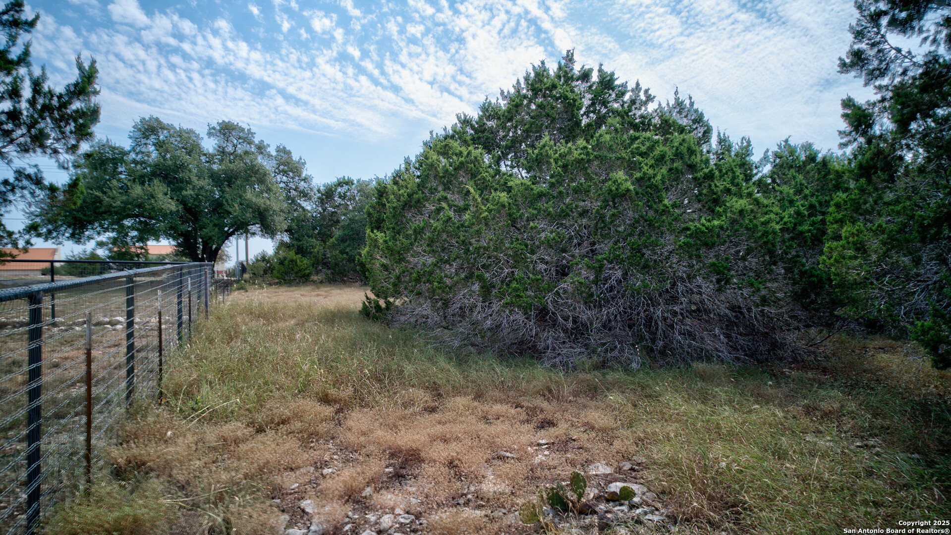 100 Sweet Clover Drive Spring Branch, TX 78070 - Photo 29 of 31 a view of a yard with plants and a tree