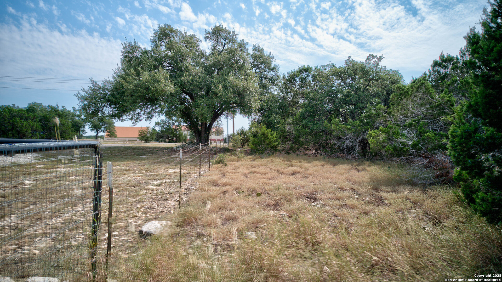 100 Sweet Clover Drive Spring Branch, TX 78070 - Photo 30 of 31 a view of a yard with plants and large trees