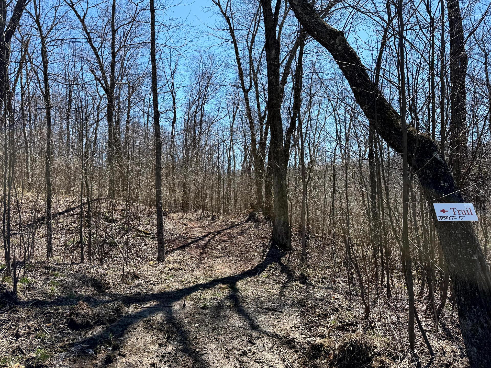 0 Dutch Ridge Road Southeast, Unit WOODS TURKEY RUN TRACT 5) New Lexington, OH 43764 - Photo 20 of 58 CT-20