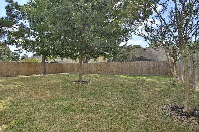 a view of a backyard with tree