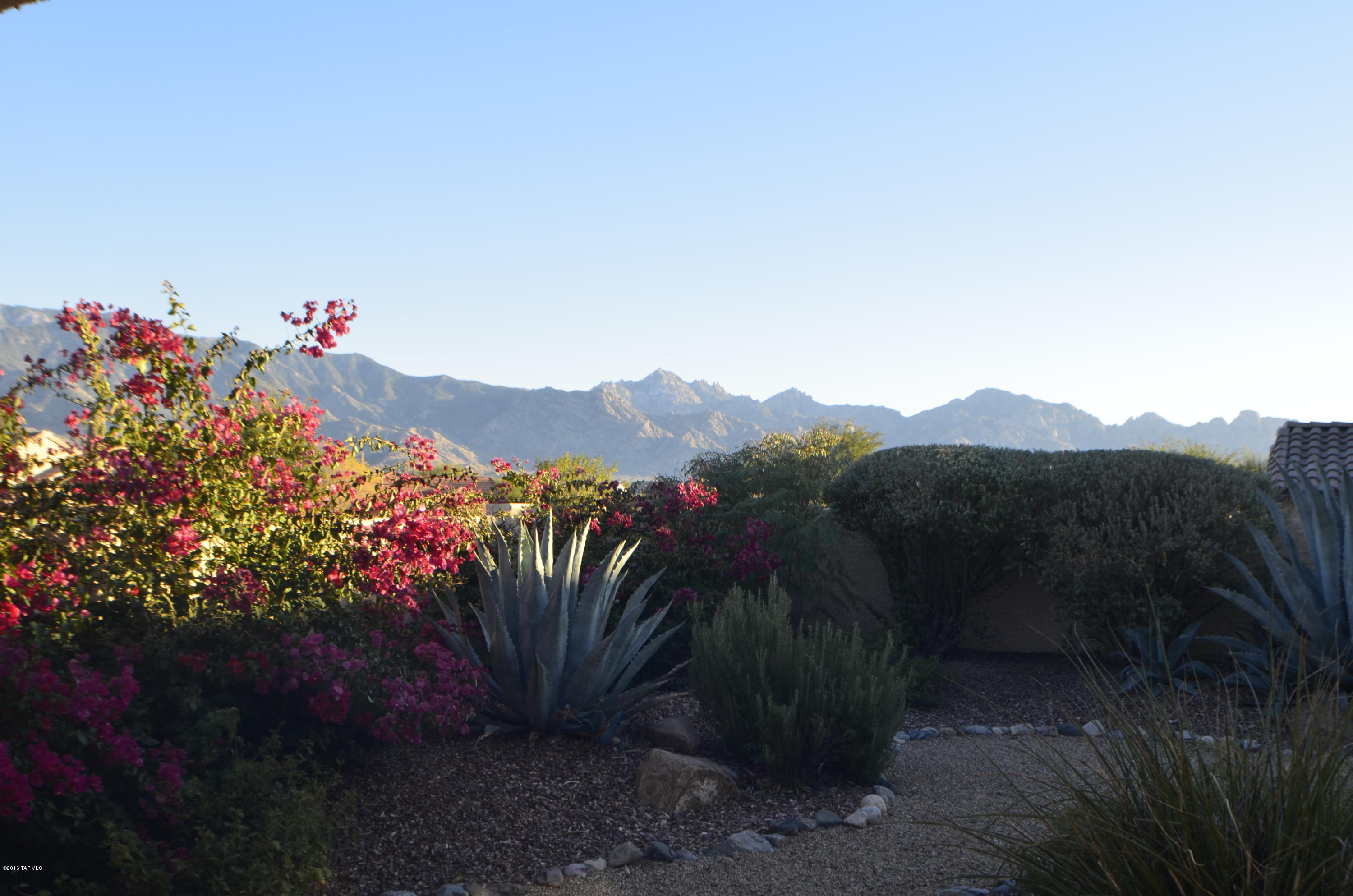 62283 East Sandlewood Road Tucson, AZ 85739 - Photo 11 of 33