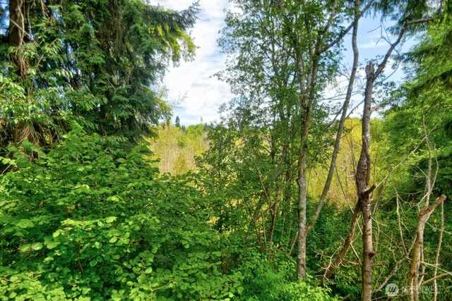 a view of a tree in a garden
