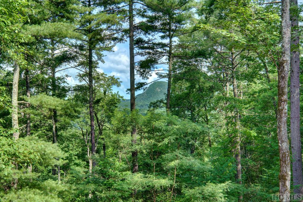 207 Far End Road Highlands, NC 28741 - Photo 4 of 20 Gallery Image 4