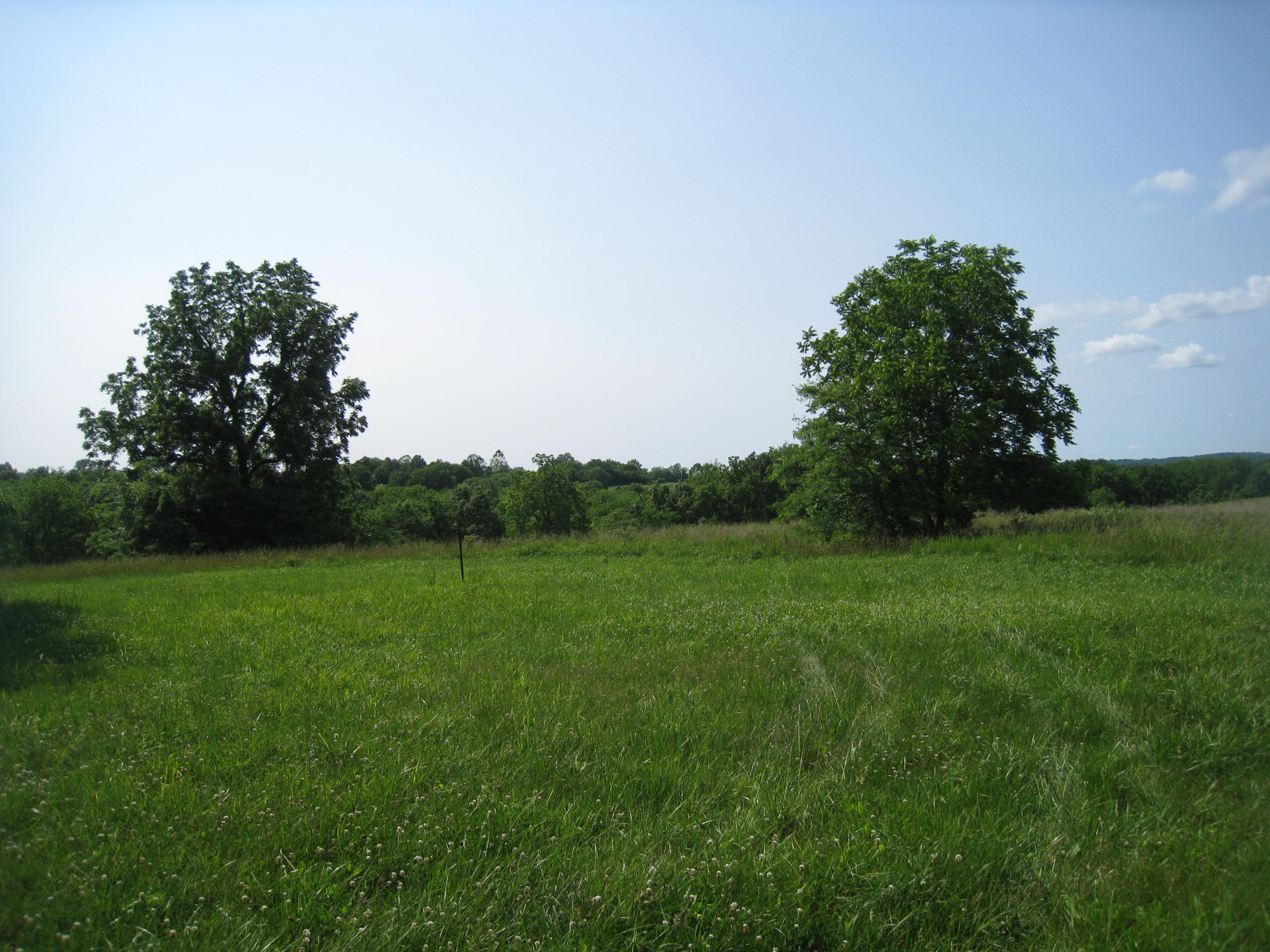 0 118th Road Morrisville, MO 65710 - Photo 1 of 1 IMG_2418