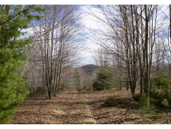 Massey Road Springfield, VT 05156 - Photo 1 of 1