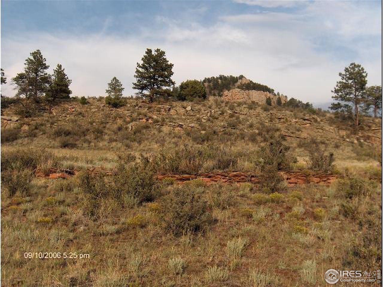 10050 Rouge Cedar Road Loveland, CO 80538 - Photo 4 of 4 Gallery Image 4