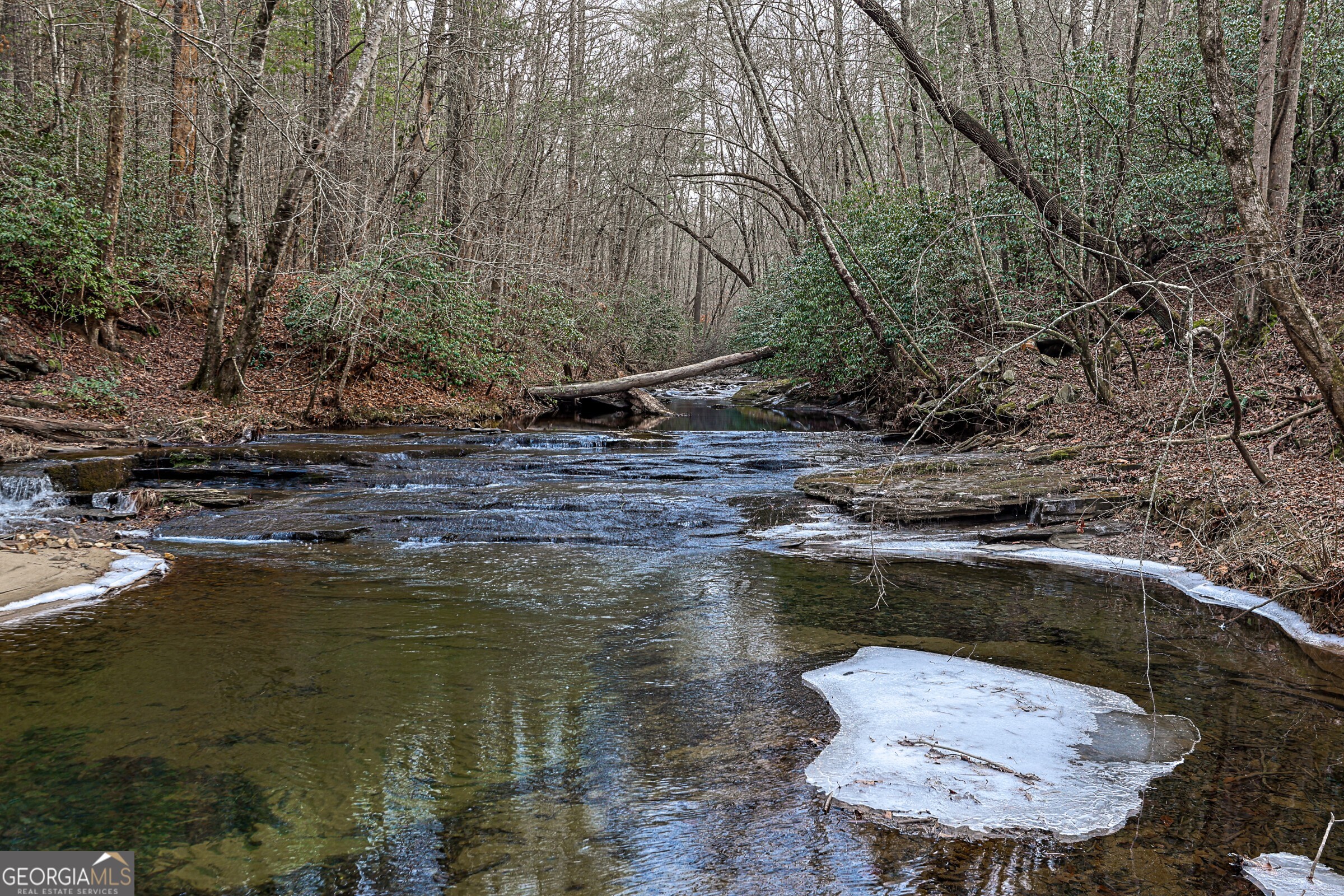 a view of swimming pool with a yard