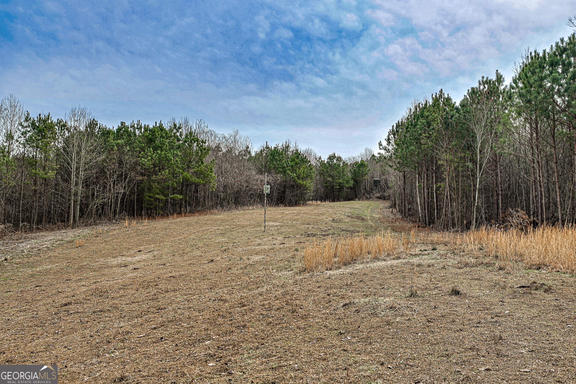 0 Trout Farm Road Talking Rock, GA 30175 - Photo 13 of 43 a backyard of a house with lots of green space