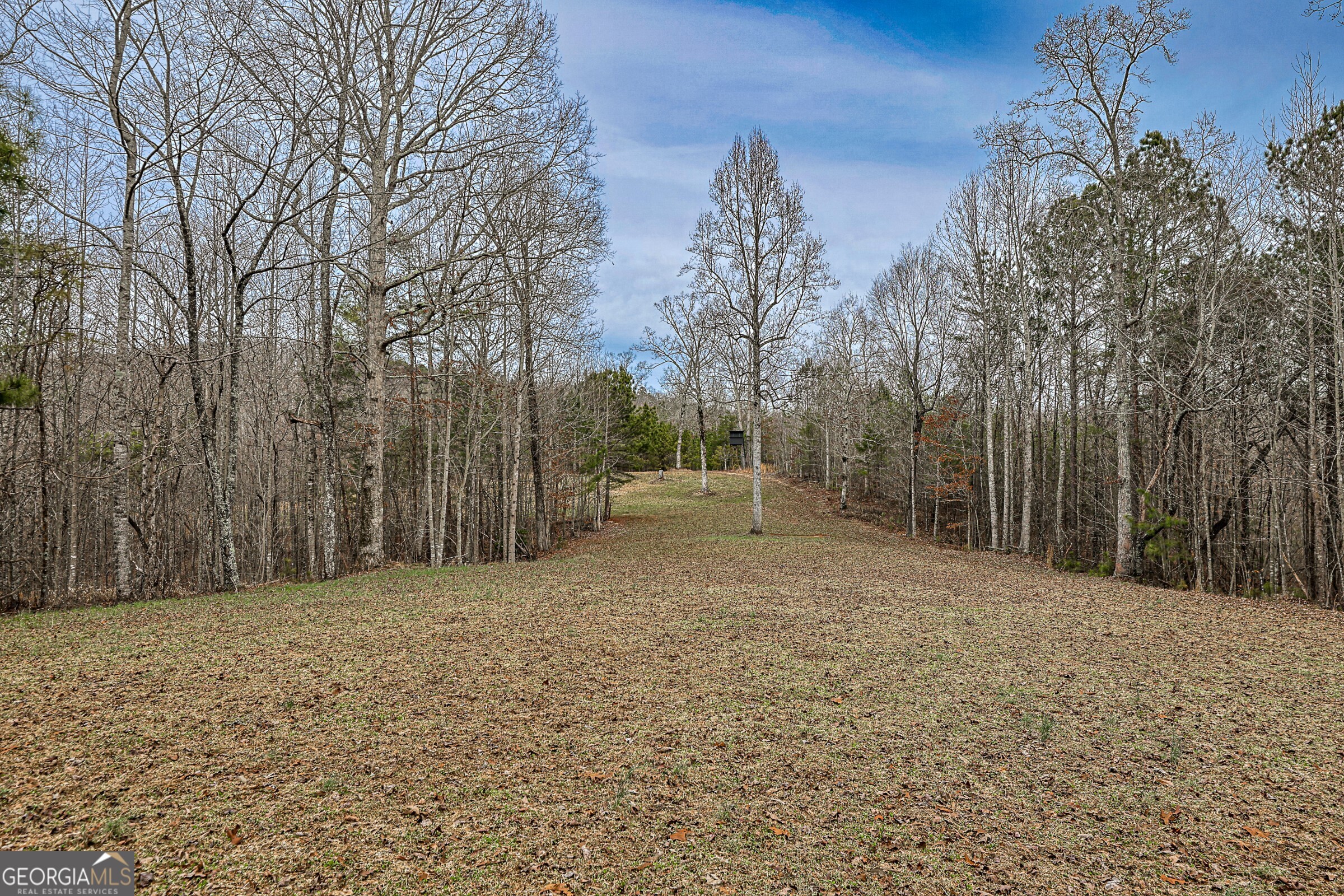 0 Trout Farm Road Talking Rock, GA 30175 - Photo 14 of 43 a view of a field with trees in the background