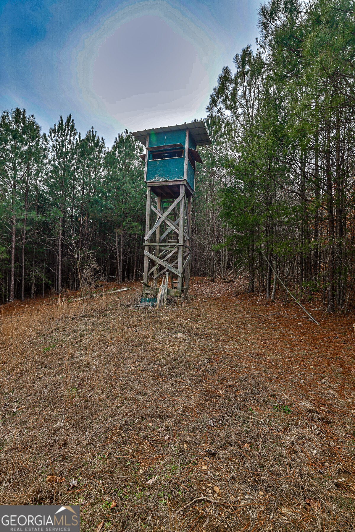 0 Trout Farm Road Talking Rock, GA 30175 - Photo 17 of 43 a view of outdoor space with deck and outdoor space