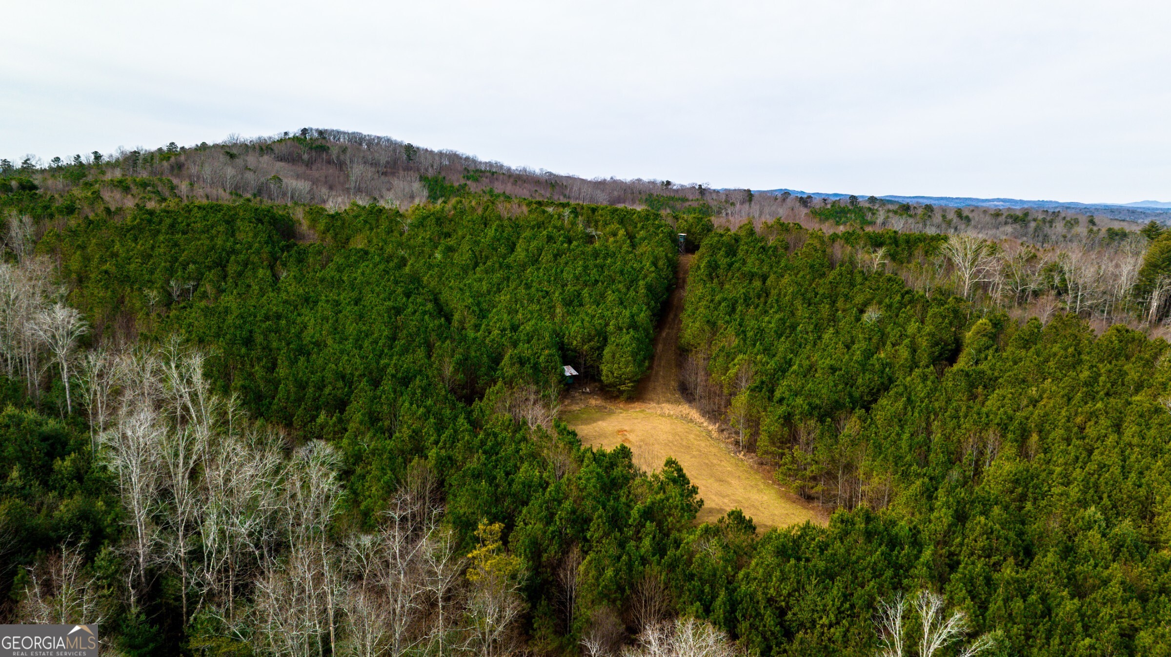 0 Trout Farm Road Talking Rock, GA 30175 - Photo 20 of 43 a view of a lush green mountain with a mountain in the background