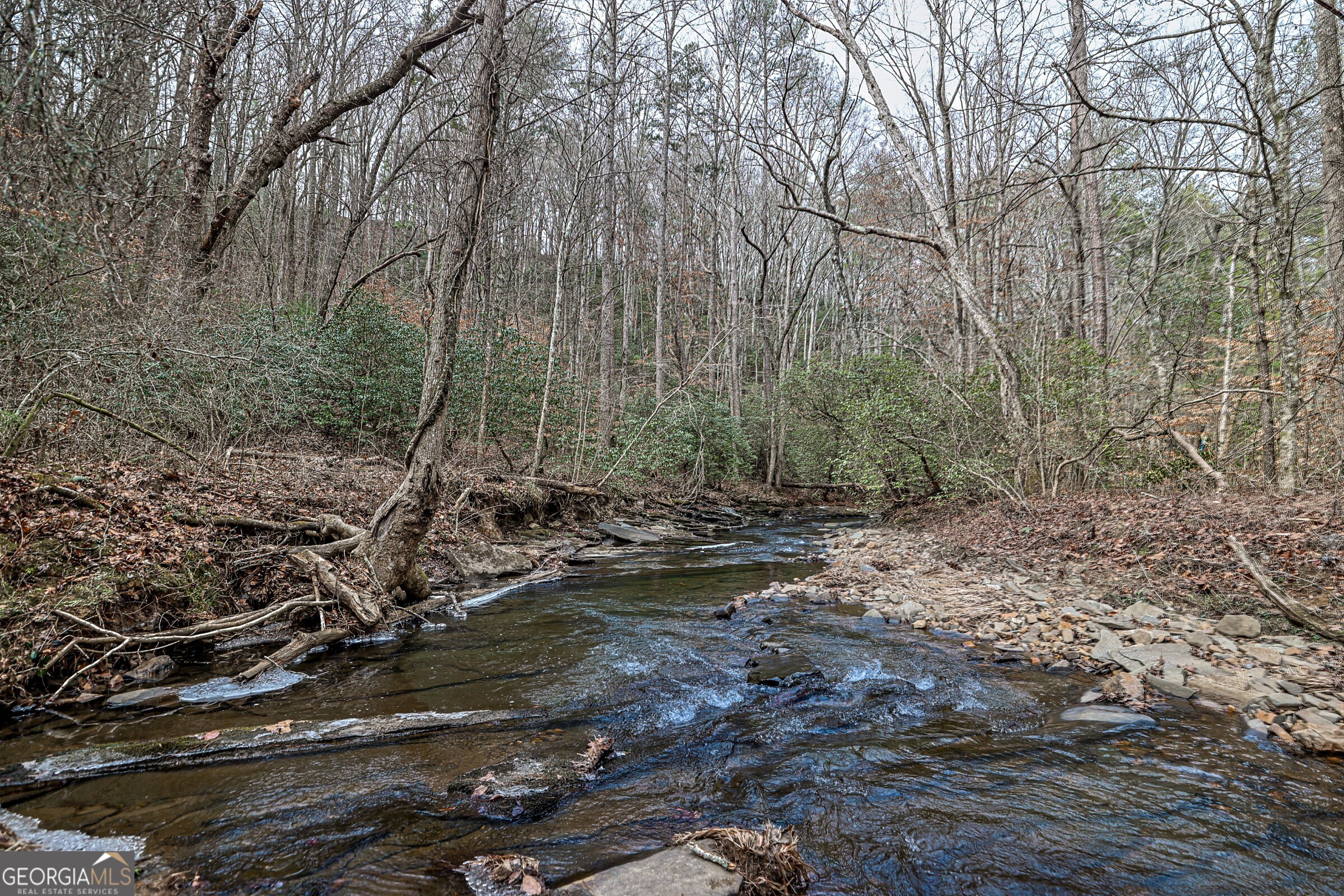 0 Trout Farm Road Talking Rock, GA 30175 - Photo 2 of 43 a view of a forest with trees