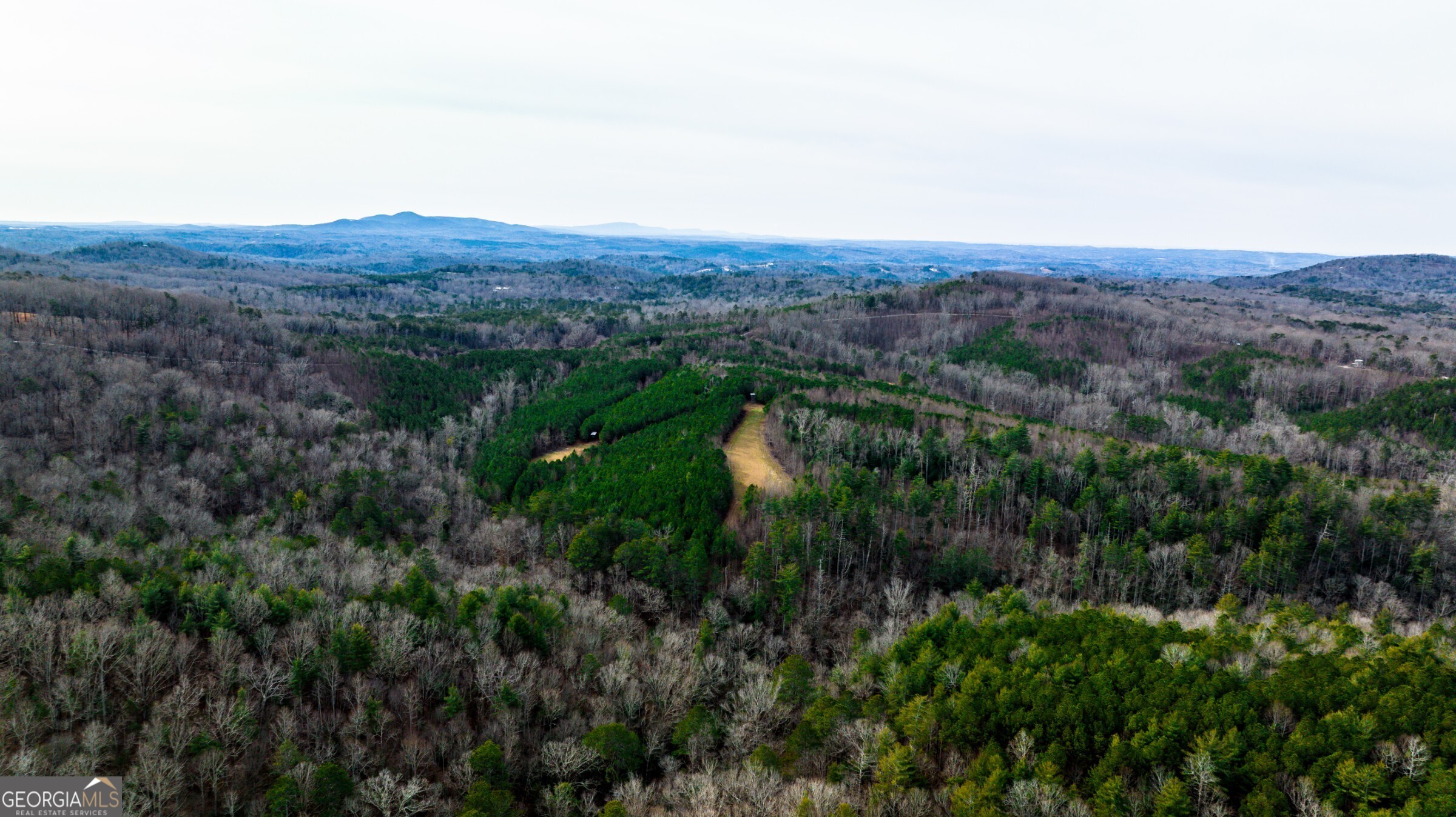 0 Trout Farm Road Talking Rock, GA 30175 - Photo 21 of 43 an aerial view of residential house and green space