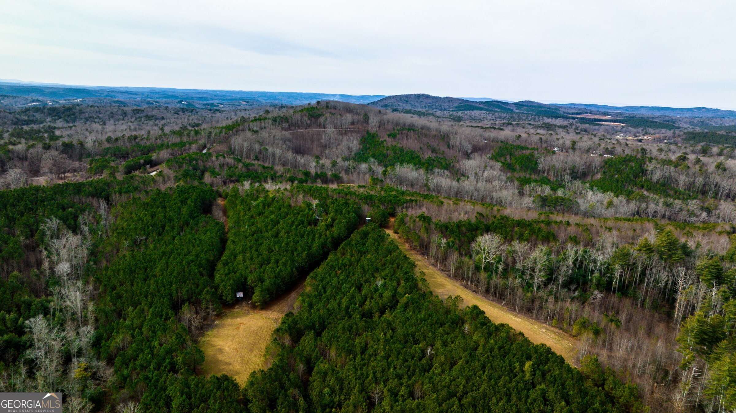0 Trout Farm Road Talking Rock, GA 30175 - Photo 25 of 43 a view of a lake with a mountain in the background
