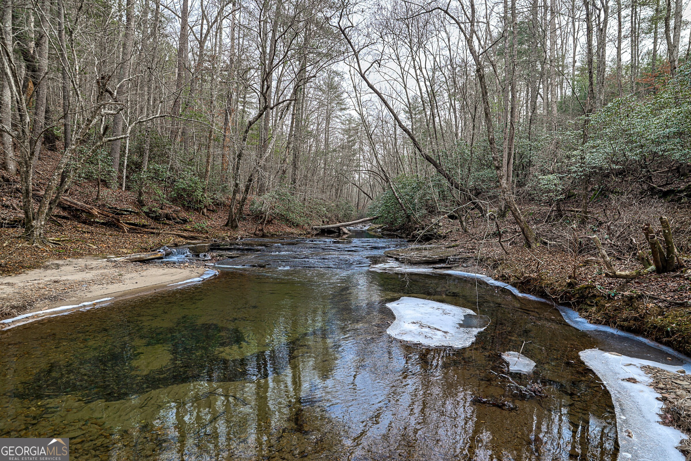 0 Trout Farm Road Talking Rock, GA 30175 - Photo 26 of 43 a view of a lake with a yard