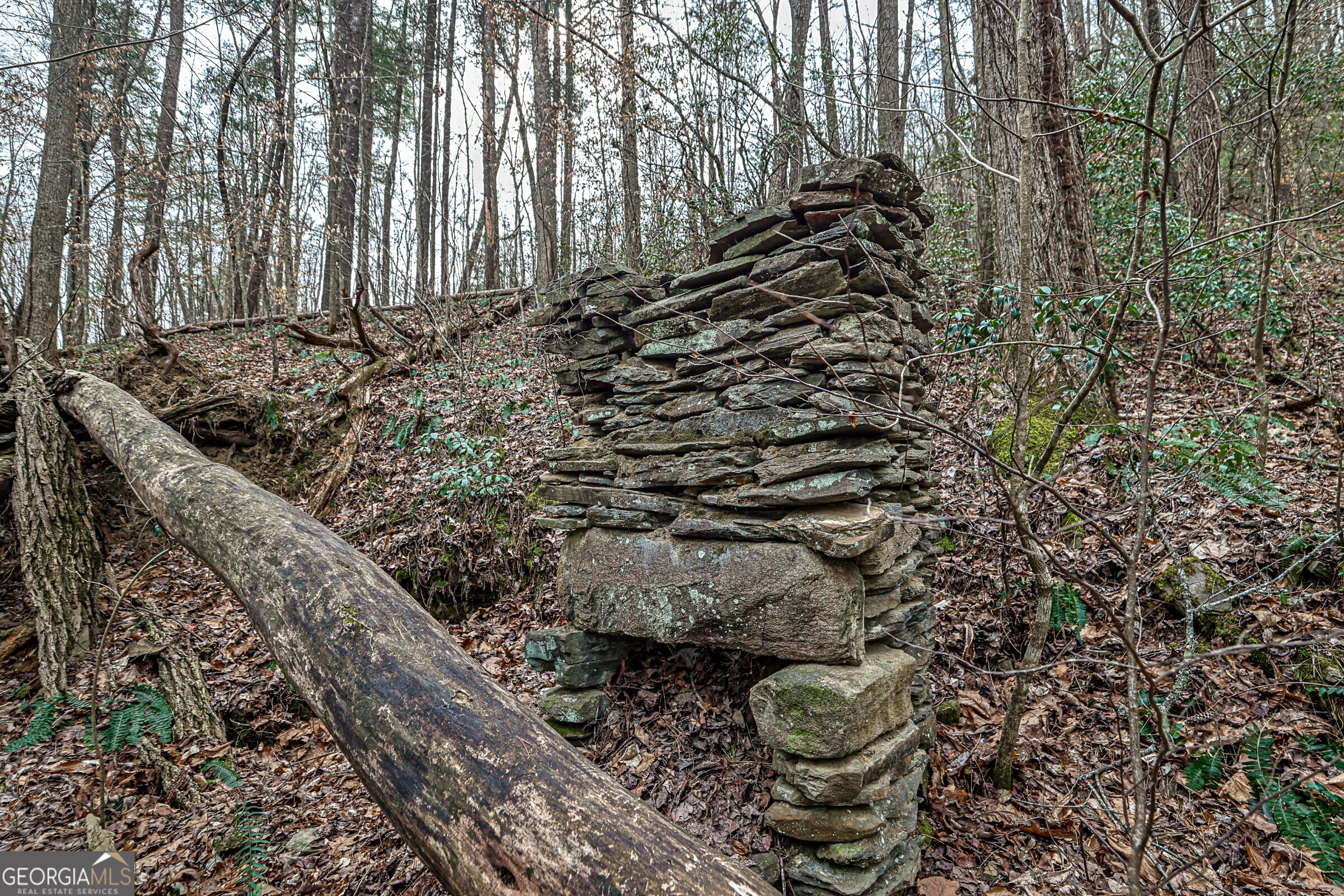 0 Trout Farm Road Talking Rock, GA 30175 - Photo 27 of 43 a view of a forest with trees