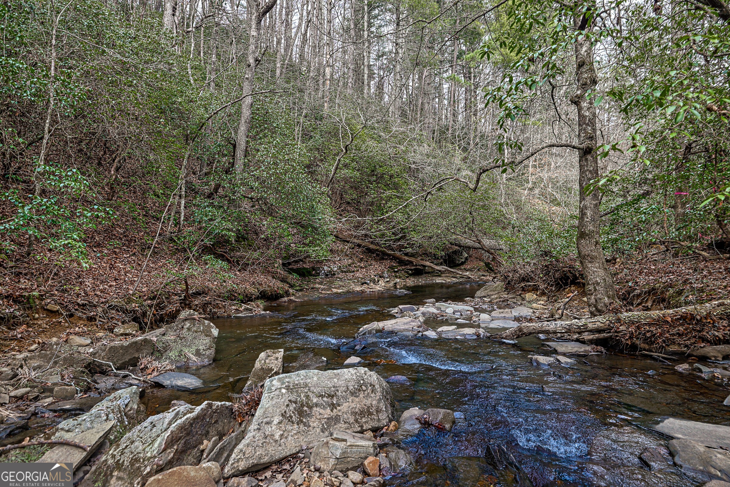 0 Trout Farm Road Talking Rock, GA 30175 - Photo 30 of 43 a view of a forest with trees