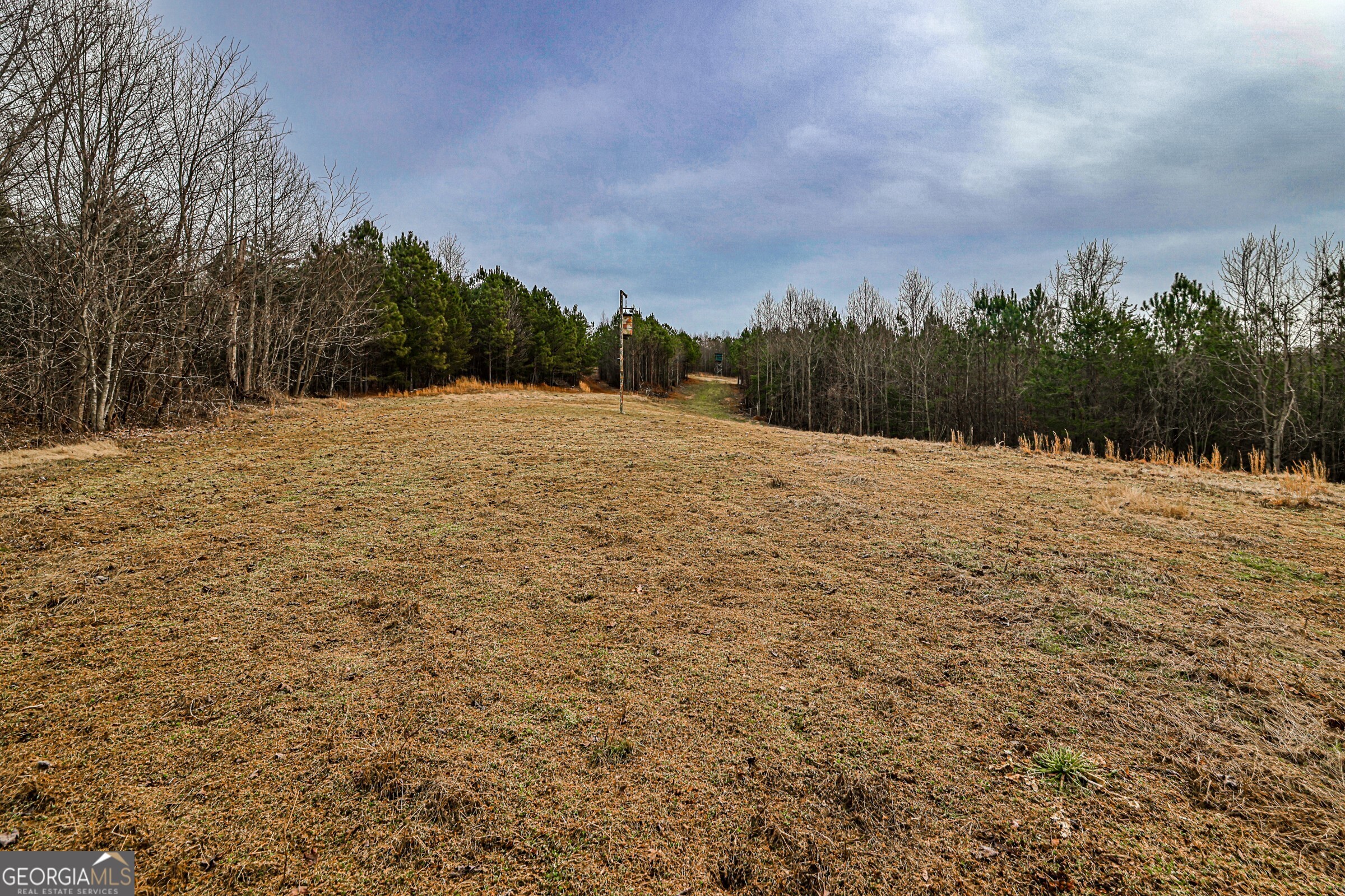 0 Trout Farm Road Talking Rock, GA 30175 - Photo 3 of 43 a outdoor space with lots of trees