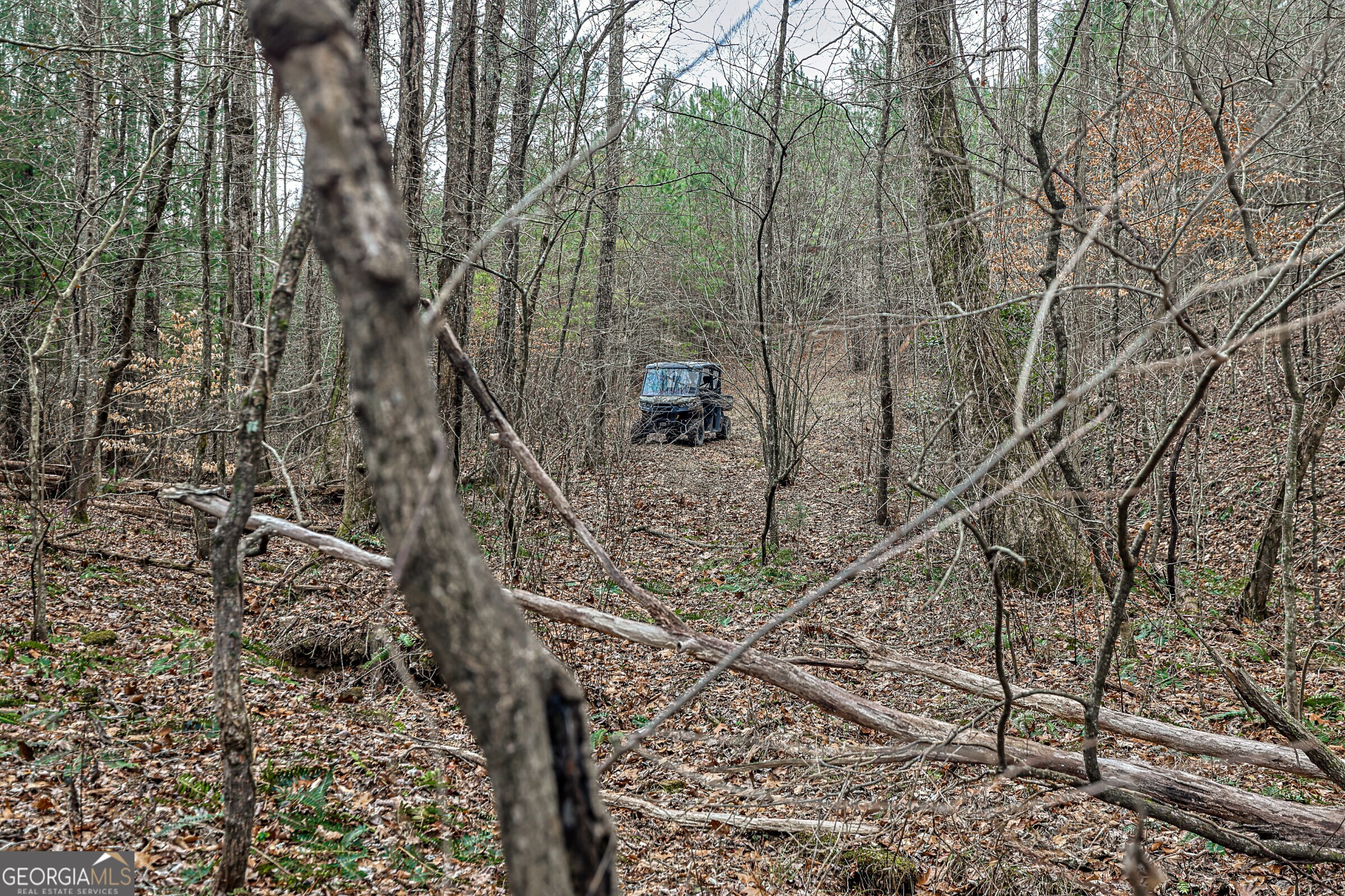 0 Trout Farm Road Talking Rock, GA 30175 - Photo 31 of 43 a view of a forest with a trees
