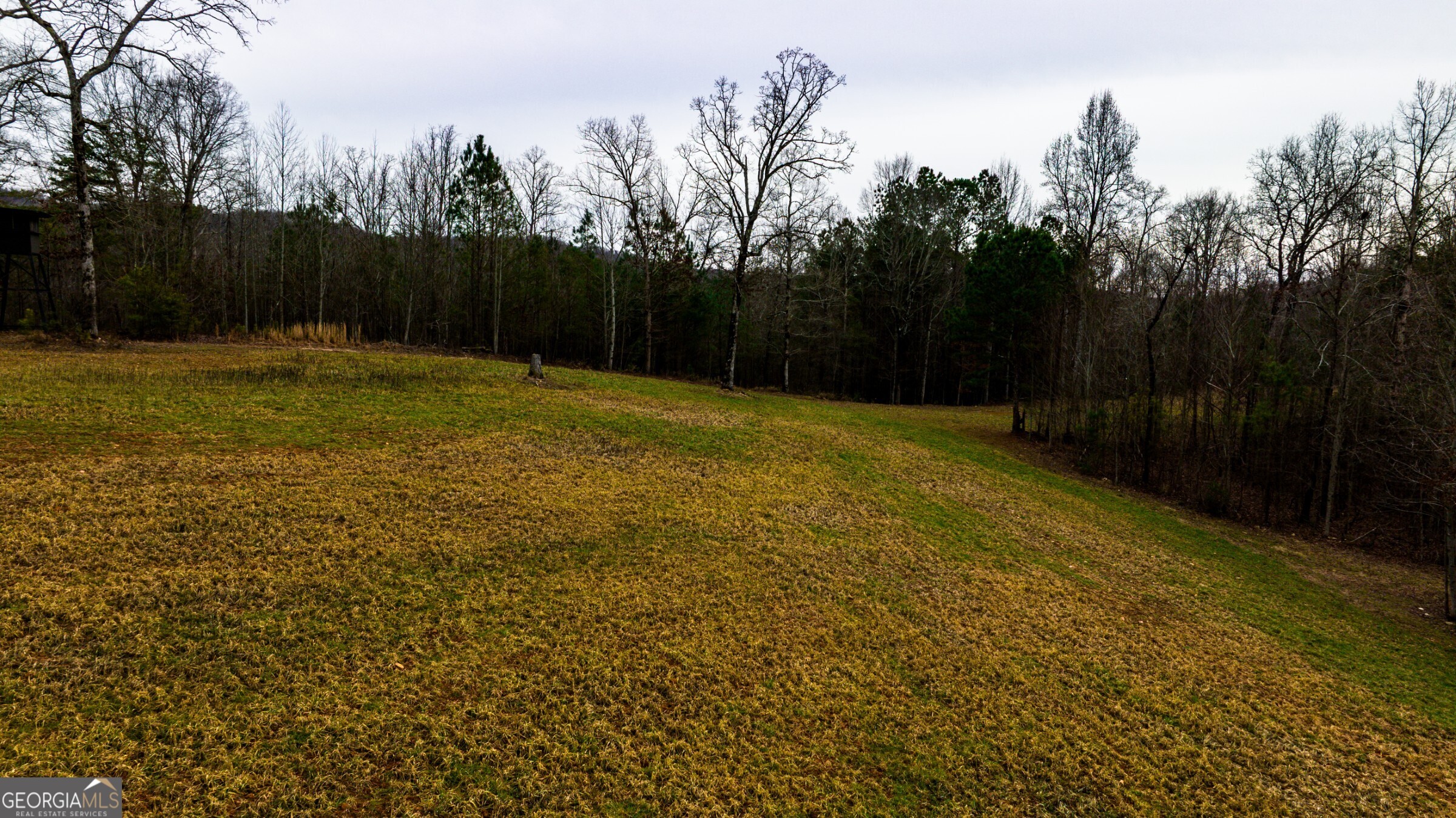 0 Trout Farm Road Talking Rock, GA 30175 - Photo 32 of 43 a view of backyard with green space