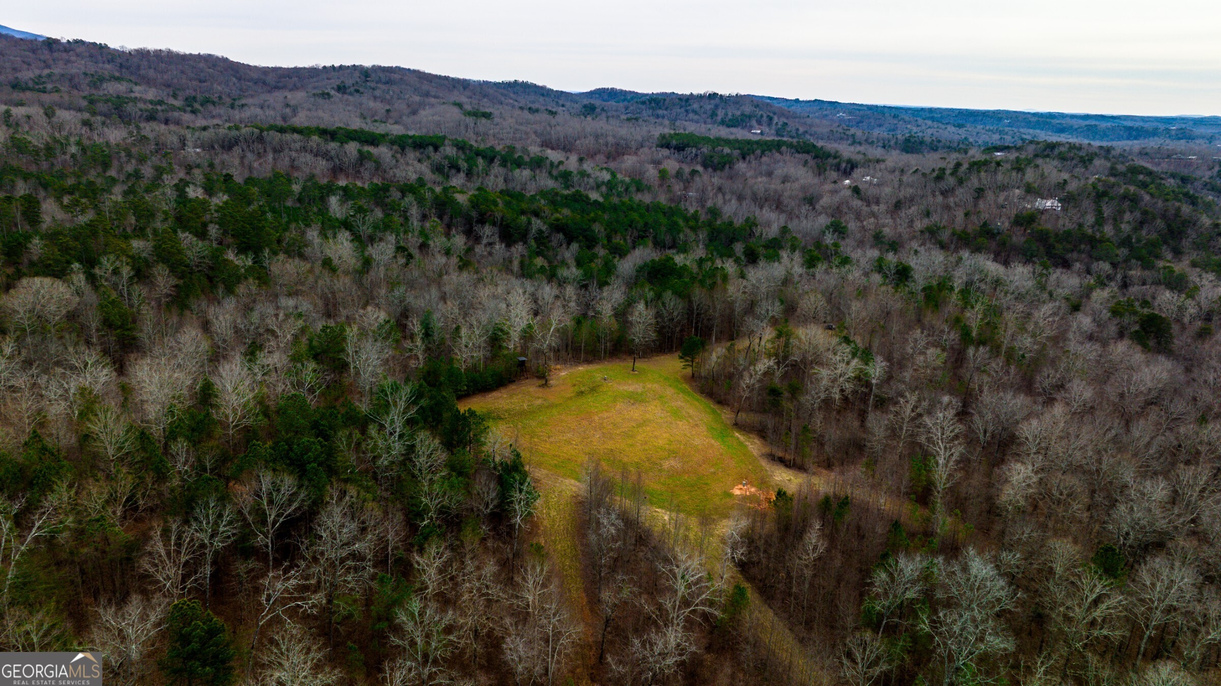 0 Trout Farm Road Talking Rock, GA 30175 - Photo 33 of 43 a view of a lush green forest with mountains in the background