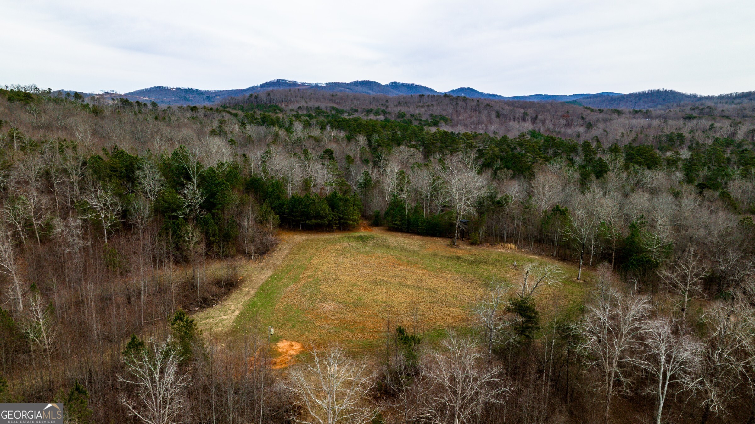 0 Trout Farm Road Talking Rock, GA 30175 - Photo 35 of 43 a view of a lush green hillside and a mountain view