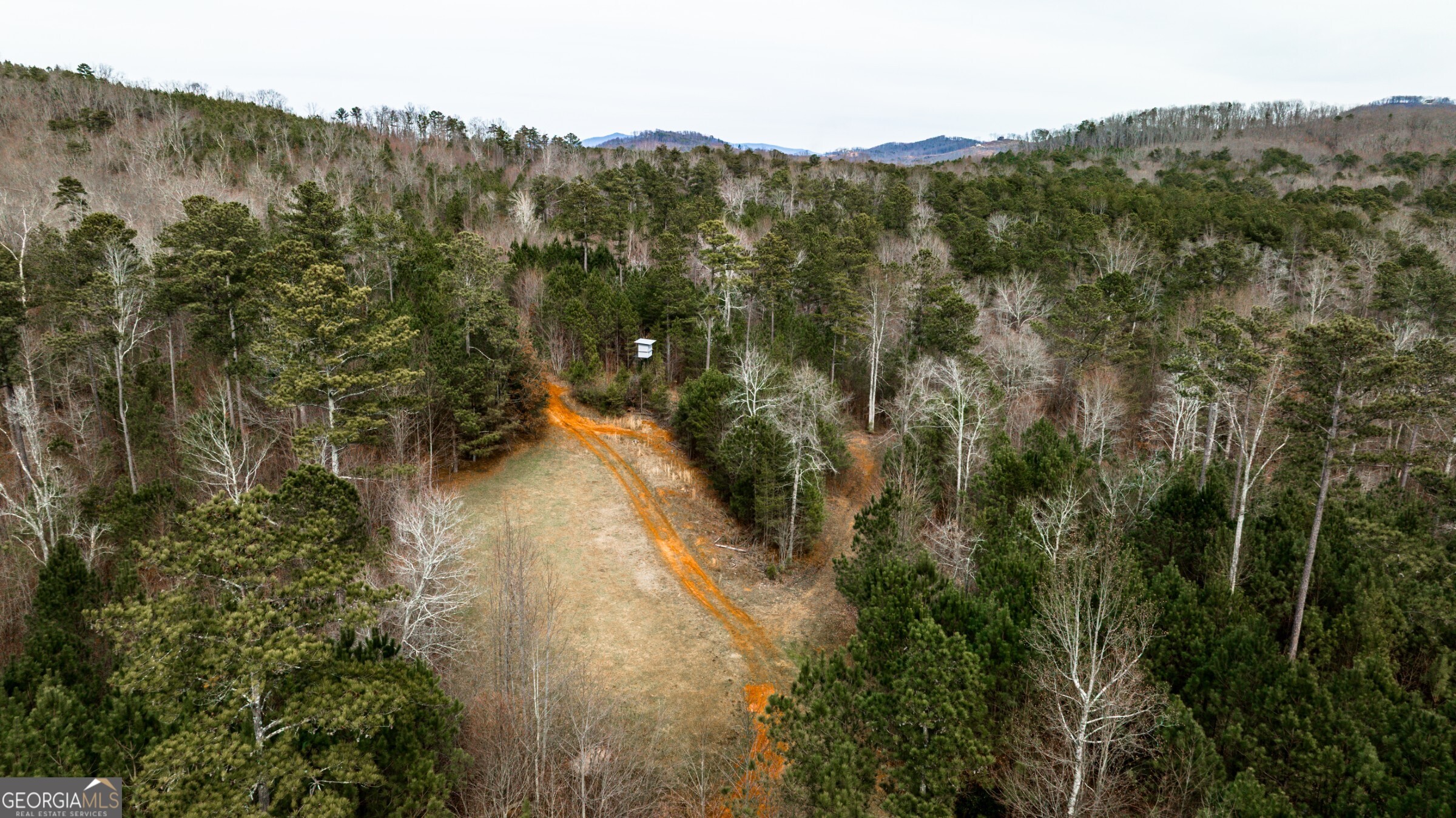0 Trout Farm Road Talking Rock, GA 30175 - Photo 36 of 43 a view of a forest with a lake