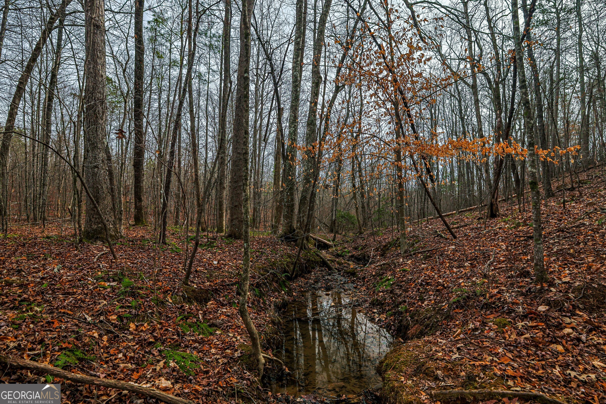 0 Trout Farm Road Talking Rock, GA 30175 - Photo 38 of 43 a view of a backyard