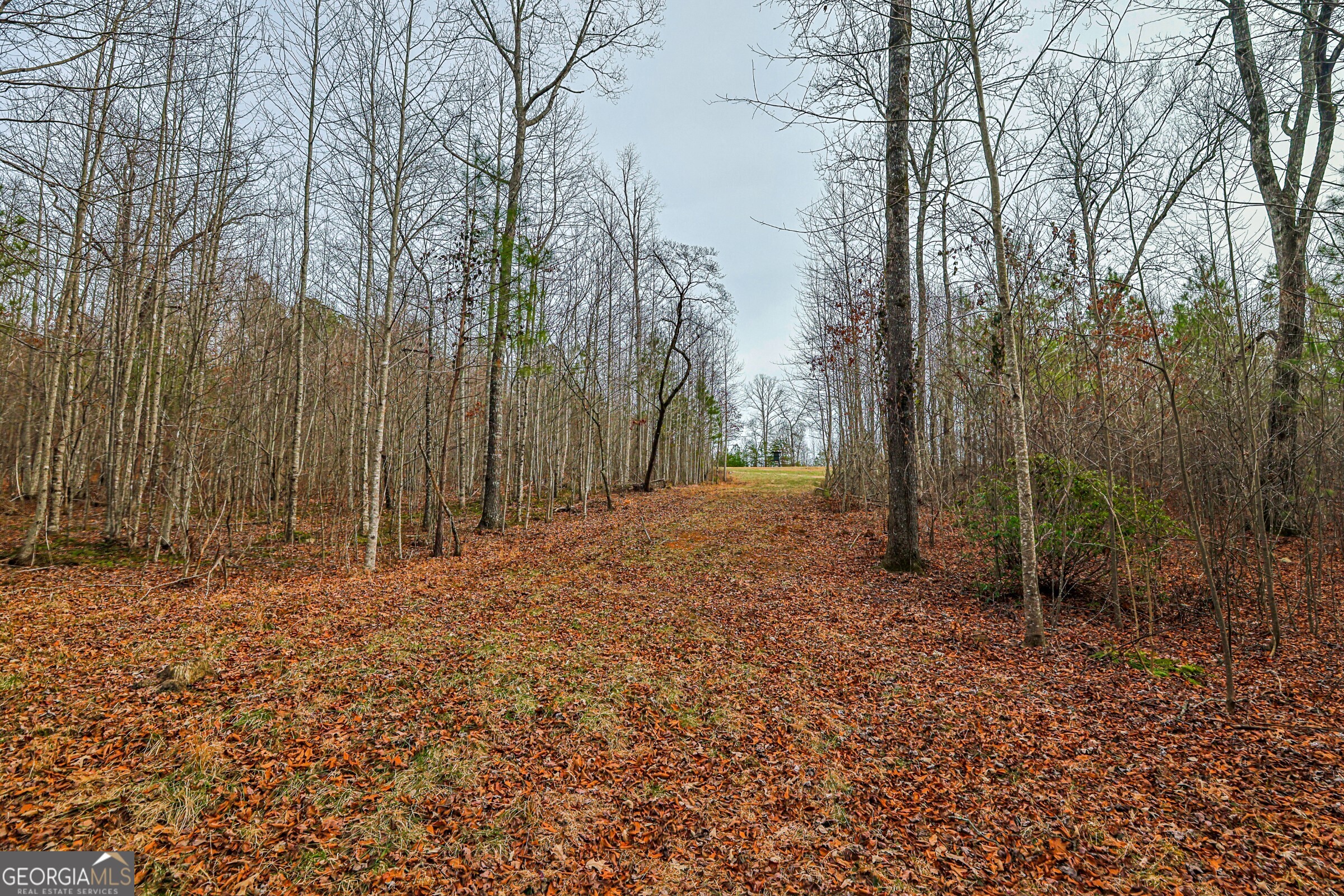 0 Trout Farm Road Talking Rock, GA 30175 - Photo 40 of 43 a backyard of a house with lots of green space