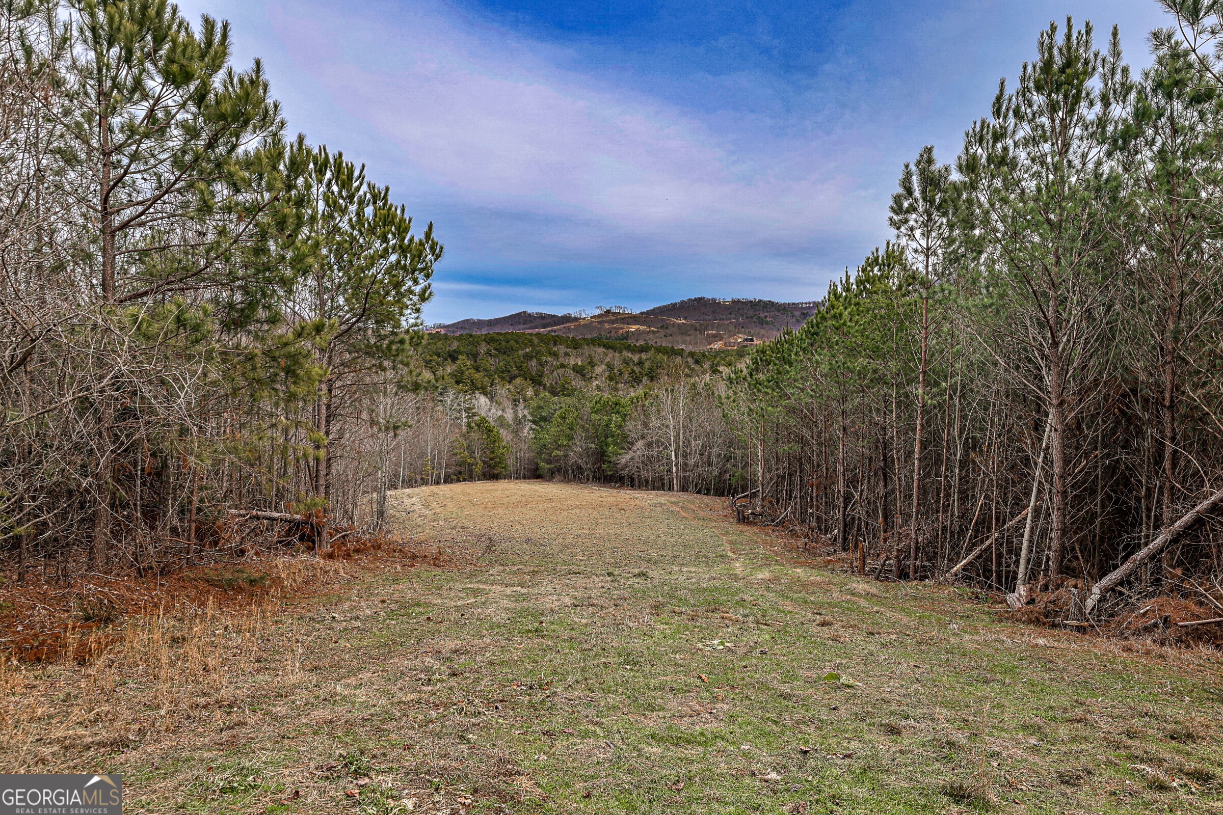 0 Trout Farm Road Talking Rock, GA 30175 - Photo 4 of 43 a view of outdoor space with mountain view