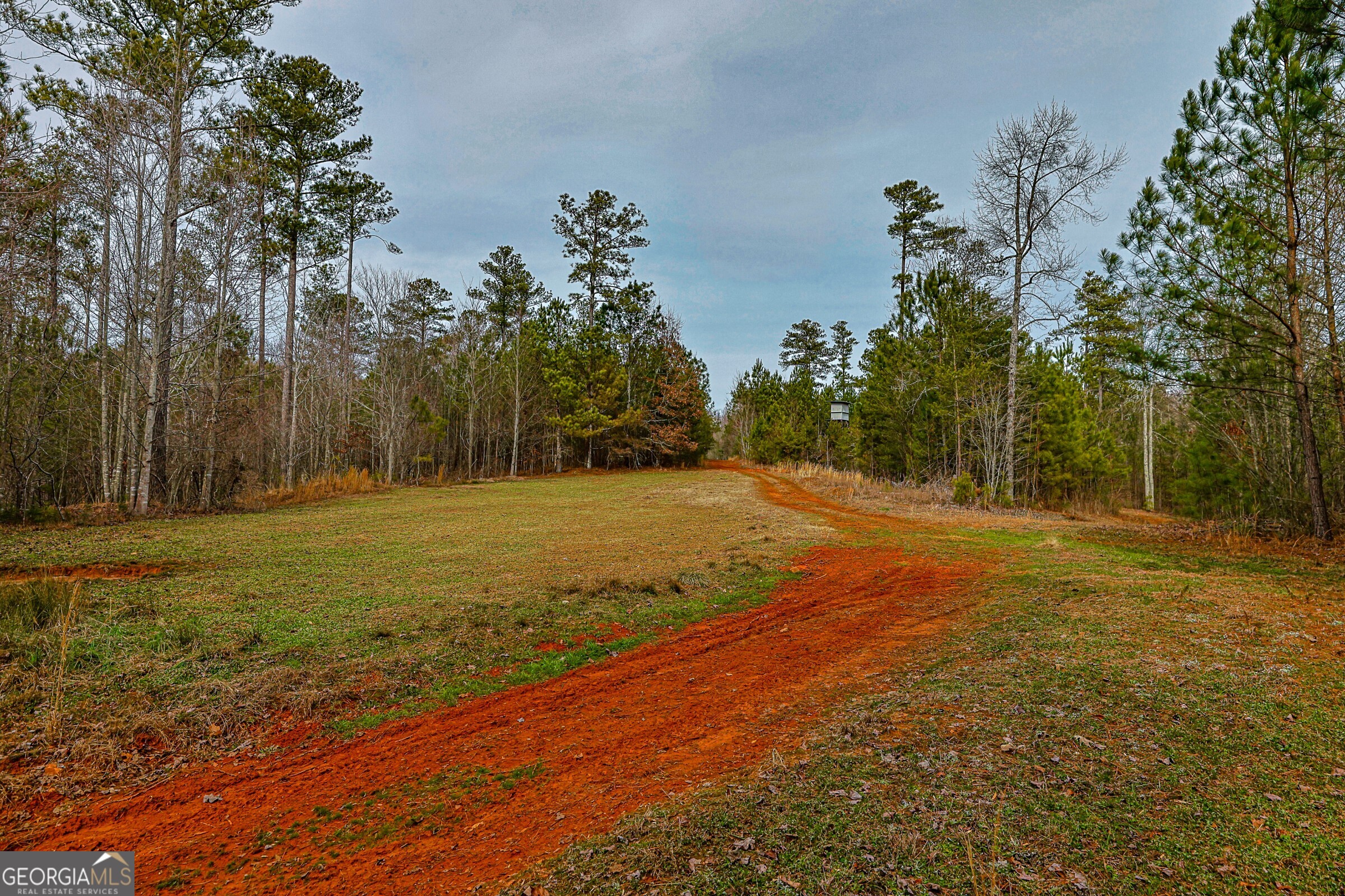 0 Trout Farm Road Talking Rock, GA 30175 - Photo 41 of 43 a view of a field with trees in the background