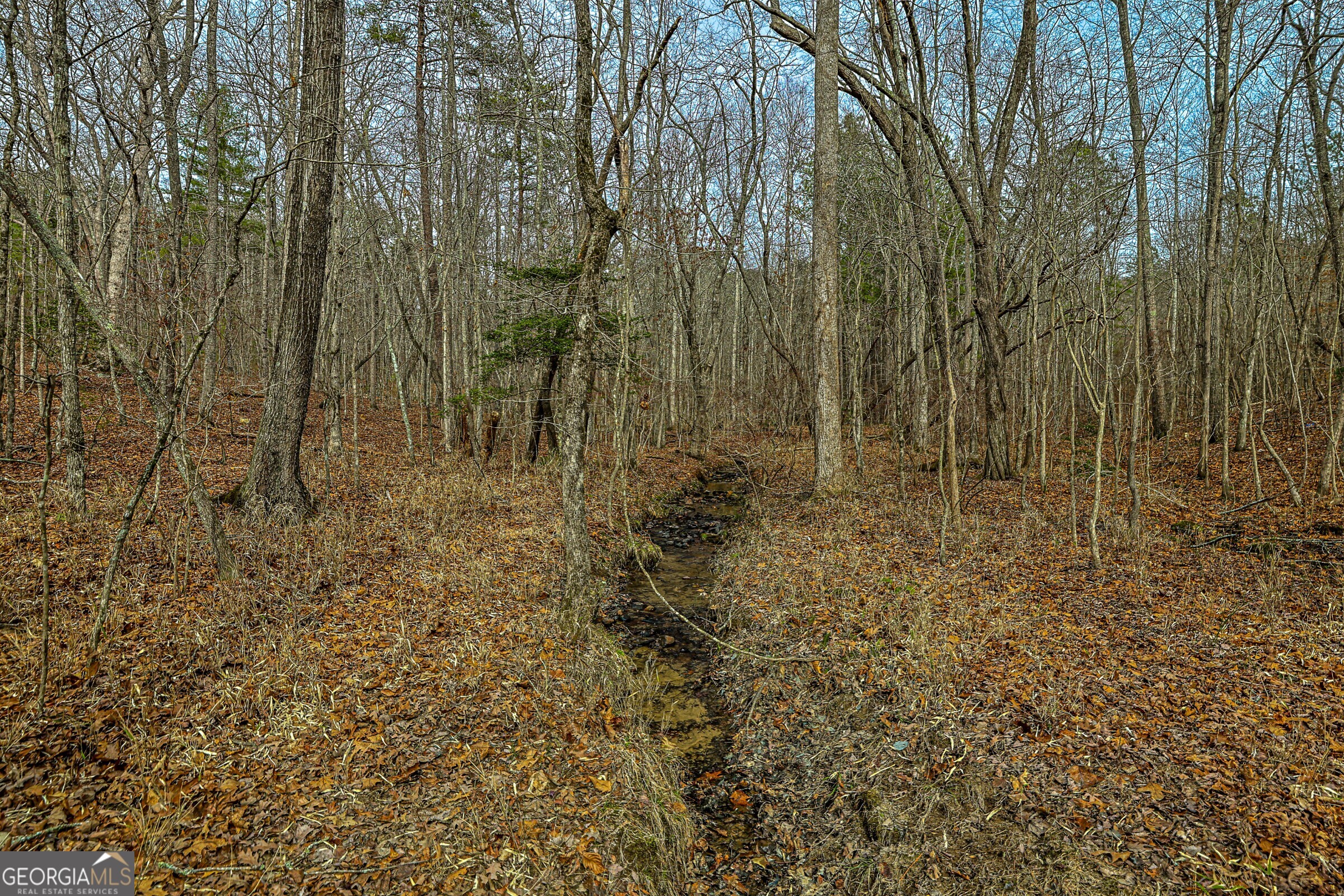 0 Trout Farm Road Talking Rock, GA 30175 - Photo 42 of 43 a view of forest